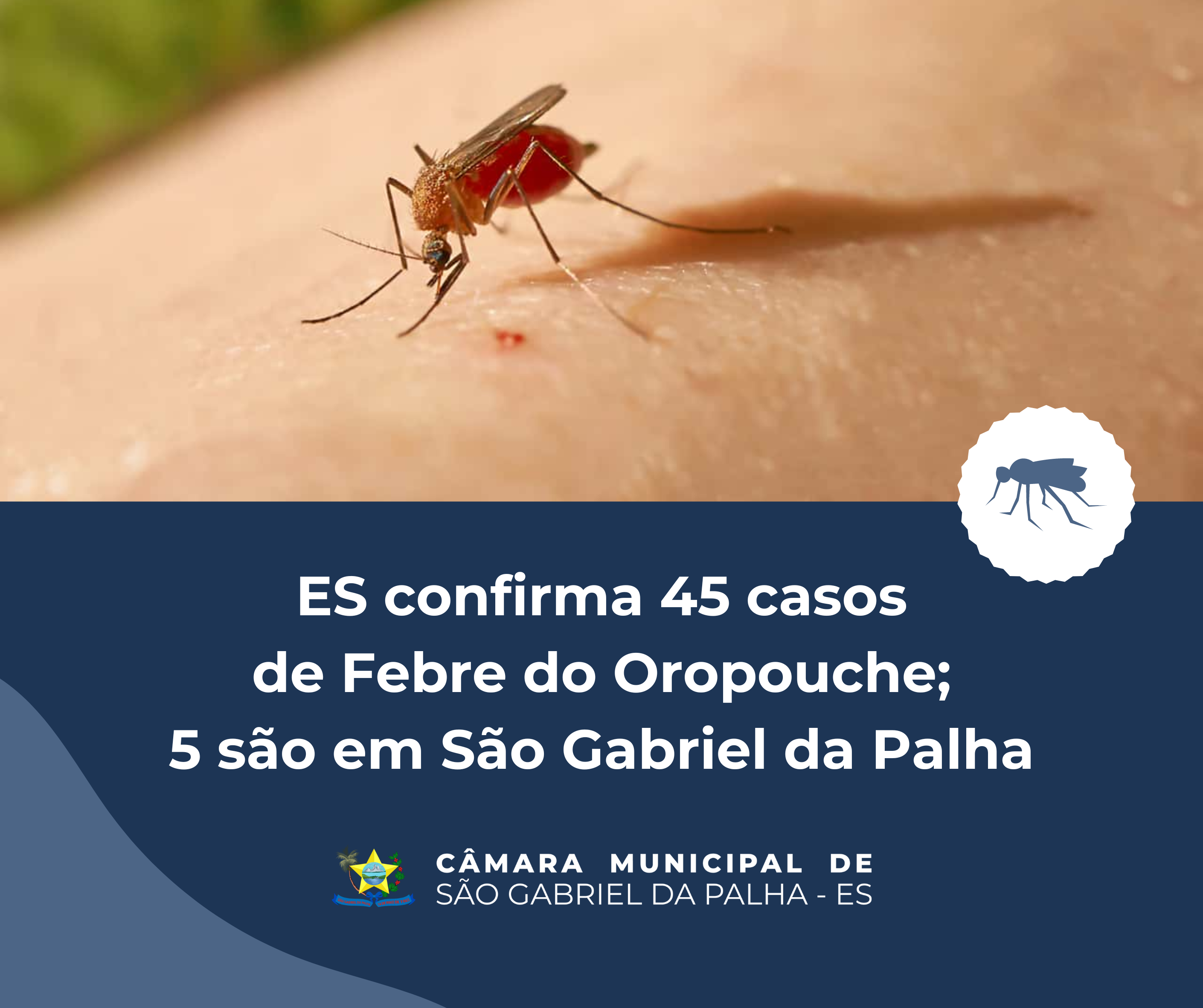 5 casos de Febre do Oropouche em São Gabriel da Palha